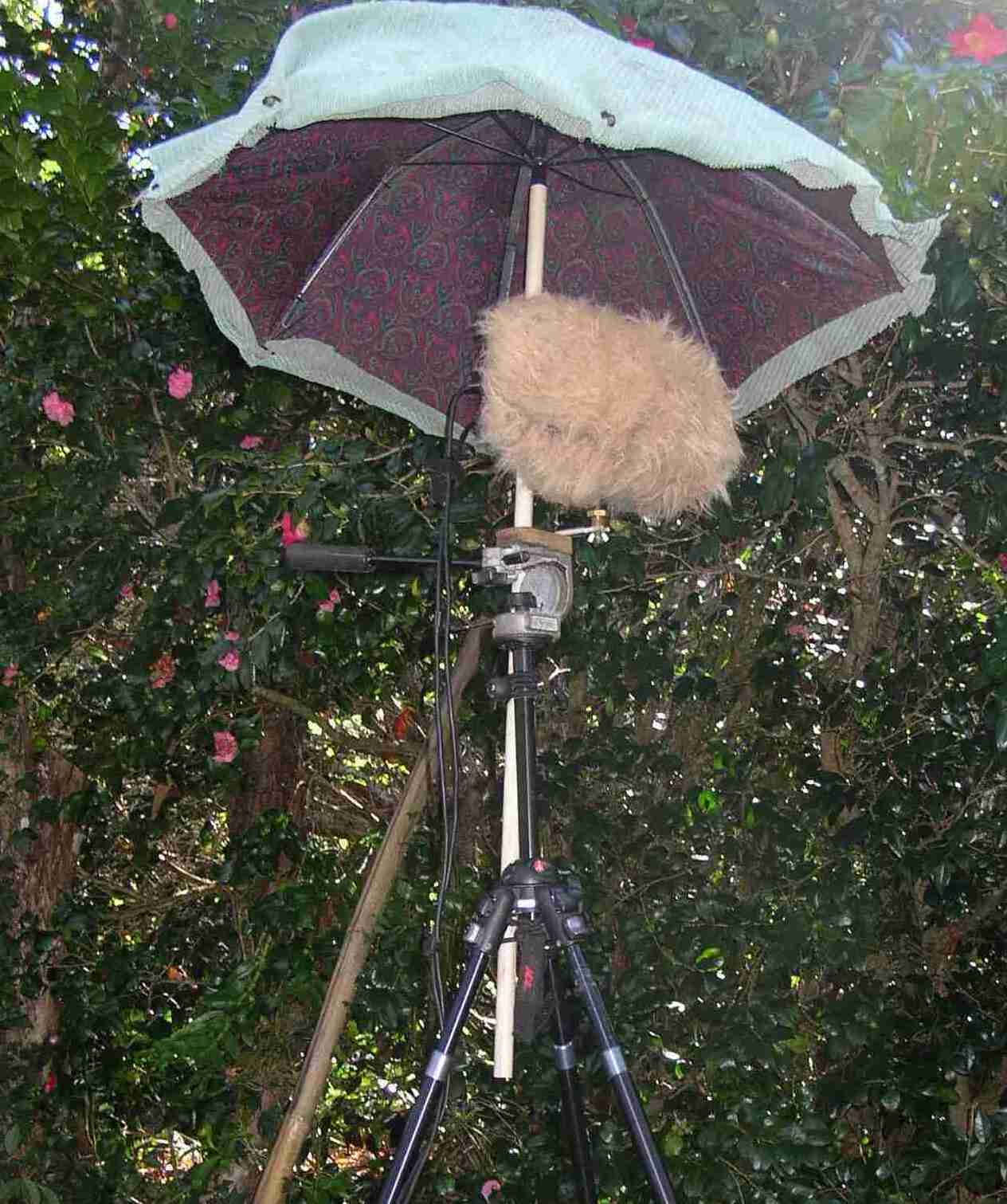 Raingear