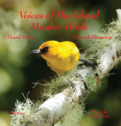 CD Cover Voices Big I